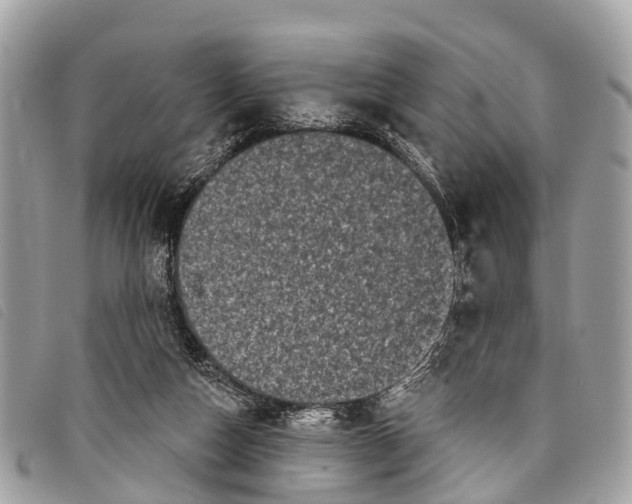 X0000097850162200804111136