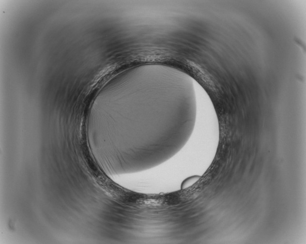 X0000097850163200804111136