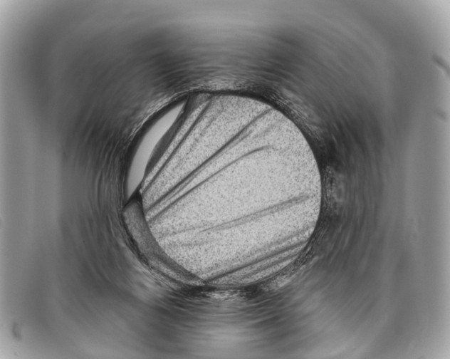 X0000097850164200804111136