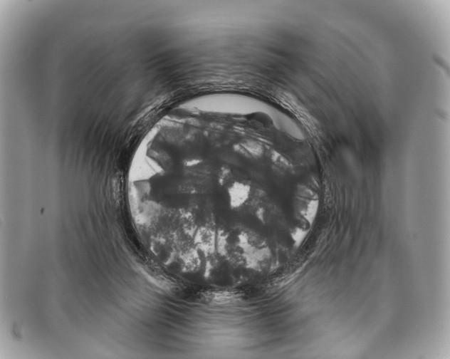 X0000097850165200804111136