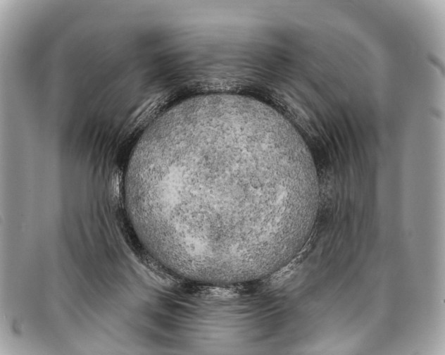 X0000097850166200804111136