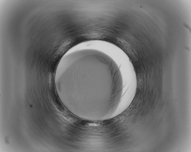 X0000097850167200804111136