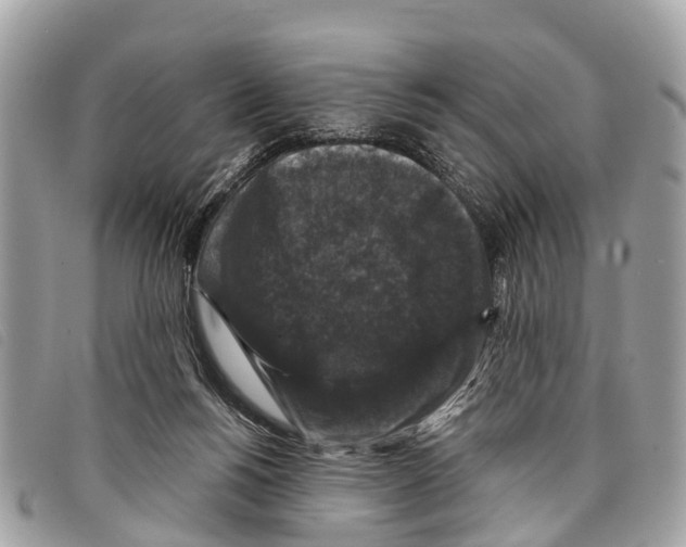 X0000097850168200804111136