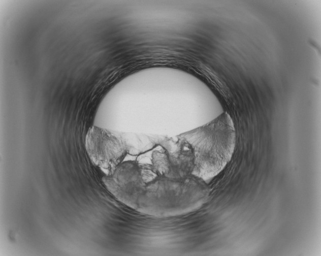 X0000097850169200804111136