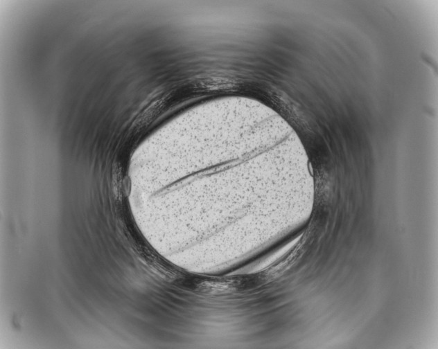 X0000097850170200804111136