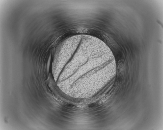 X0000097850172200804111136