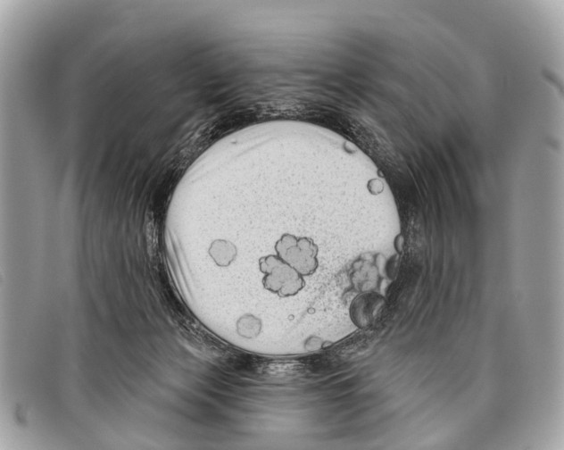 X0000097850173200804111136