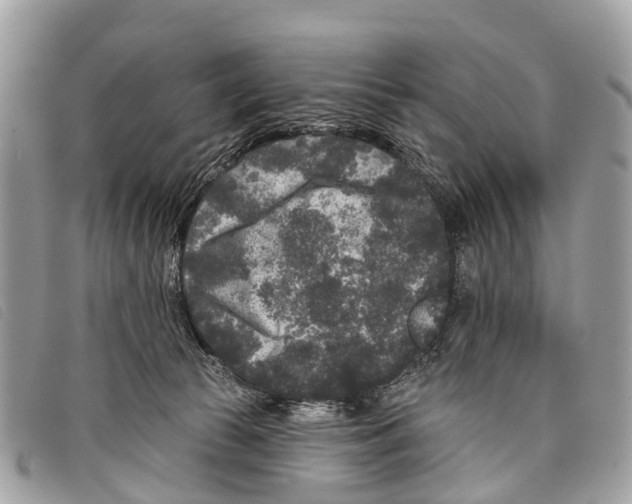 X0000097850177200804111136