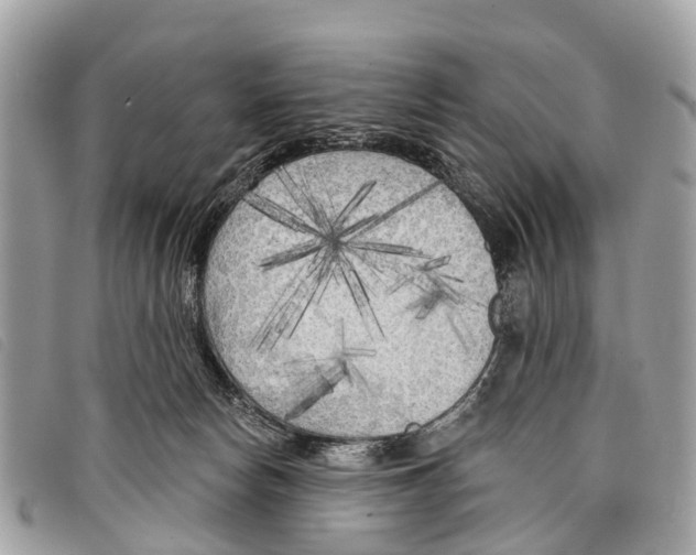 X0000097850178200804111136