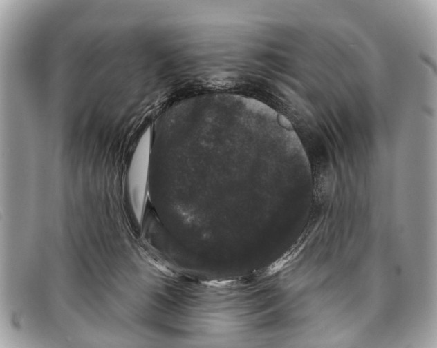 X0000097850180200804111137