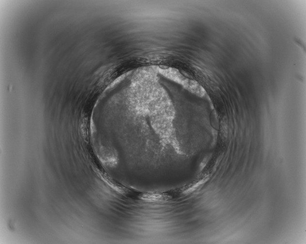 X0000097850181200804111137