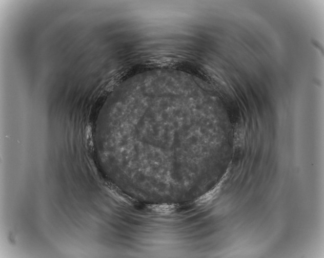 X0000097850182200804111137