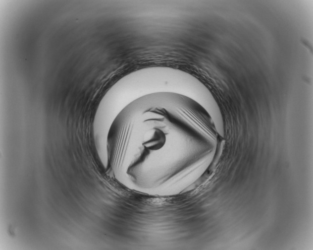 X0000097850184200804111137