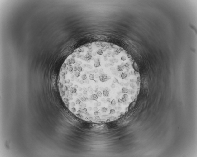 X0000097850185200804111137