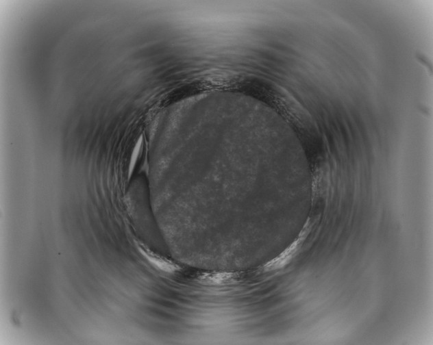 X0000097850186200804111137