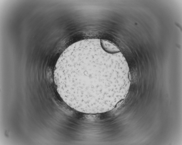 X0000097850187200804111137