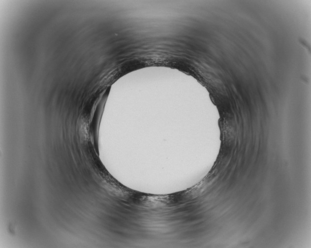 X0000097850188200804111137