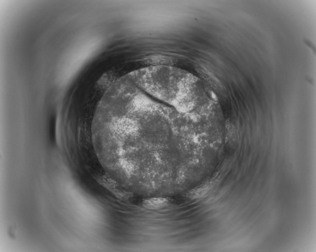 X0000097850189200804111137