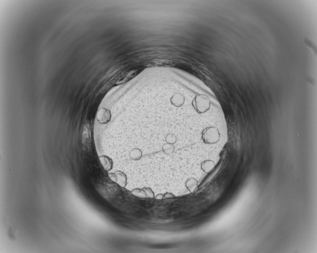 X0000097850191200804111137