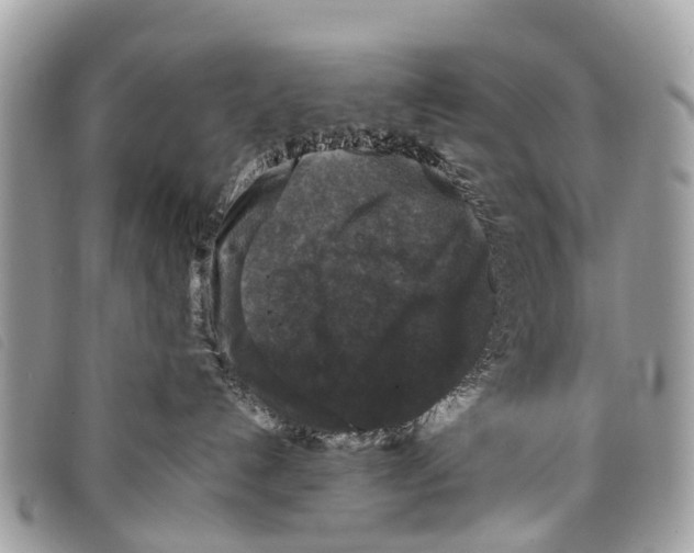 X0000097850192200804111137