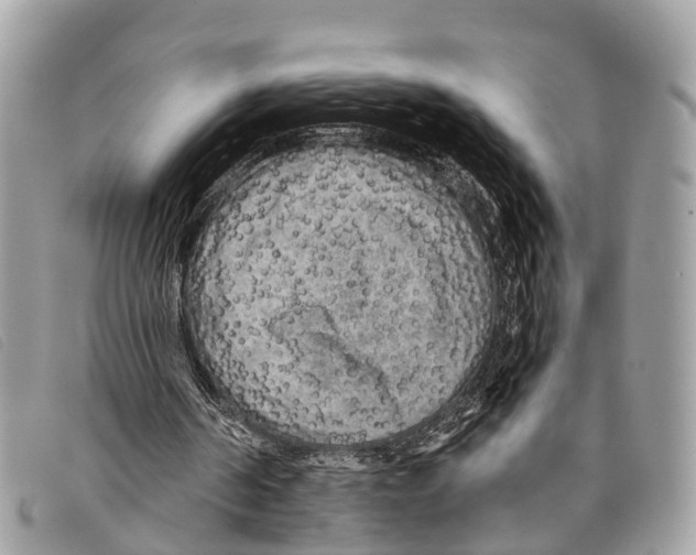 X0000097850194200804111136