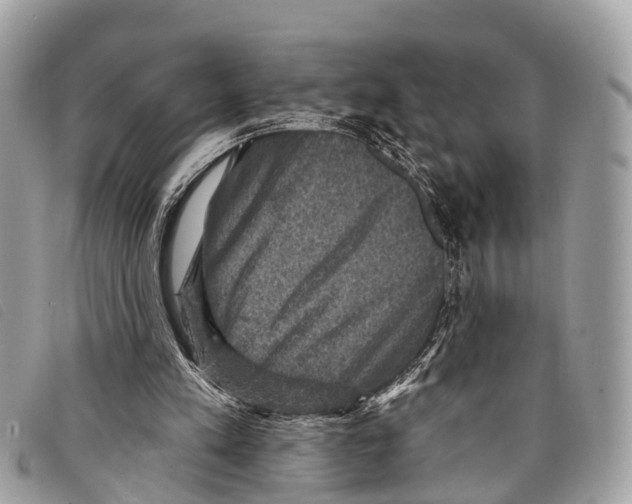 X0000097850197200804111136