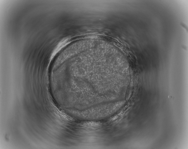 X0000097850198200804111136