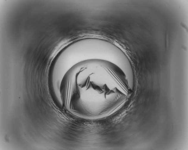 X0000097850199200804111136