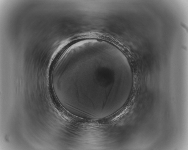 X0000097850200200804111136