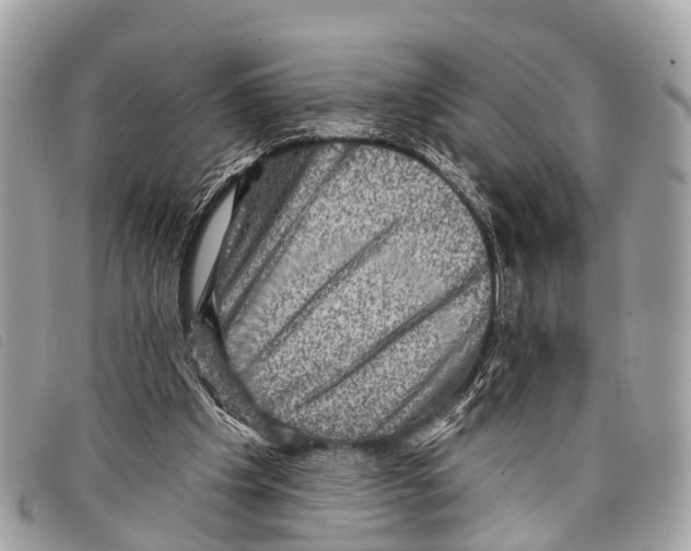 X0000097850201200804111136