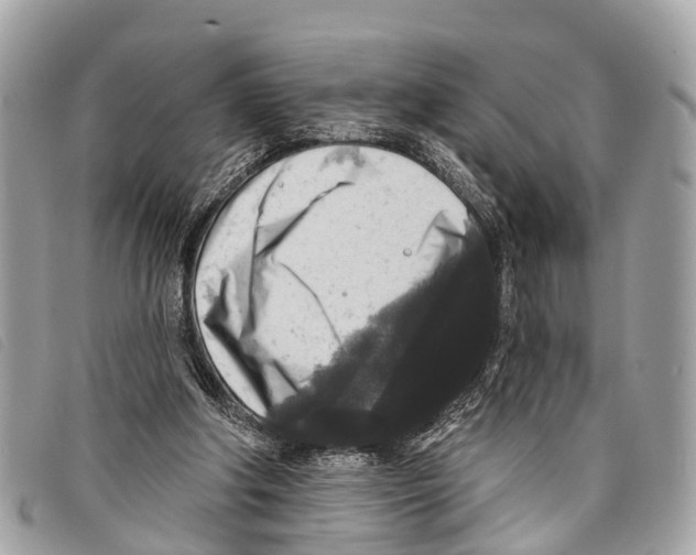 X0000097850202200804111136