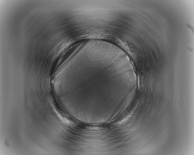 X0000097850205200804111136