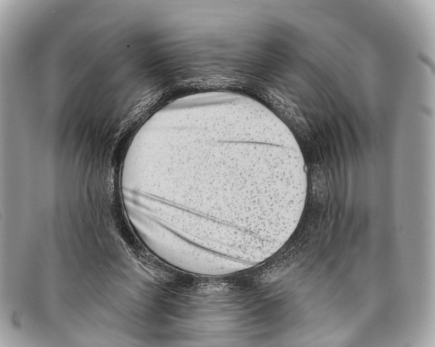 X0000097850206200804111136