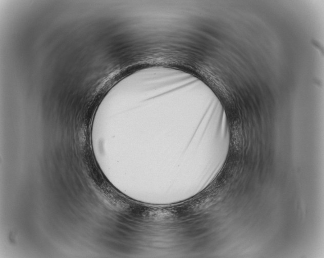 X0000097850208200804111136