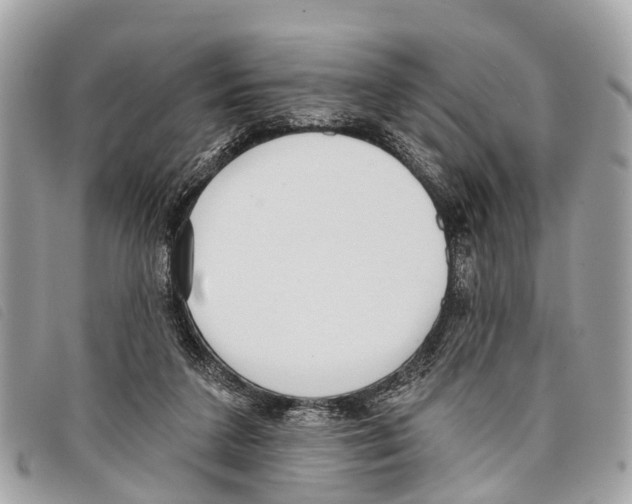 X0000097850211200804111136