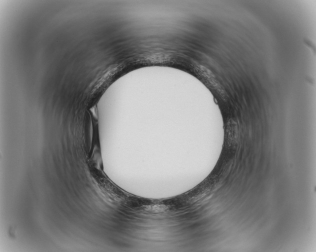 X0000097850212200804111136