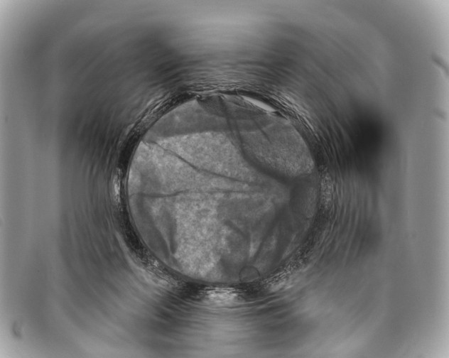 X0000097850214200804111136