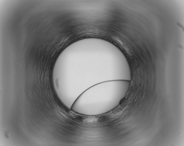 X0000097850217200804111136