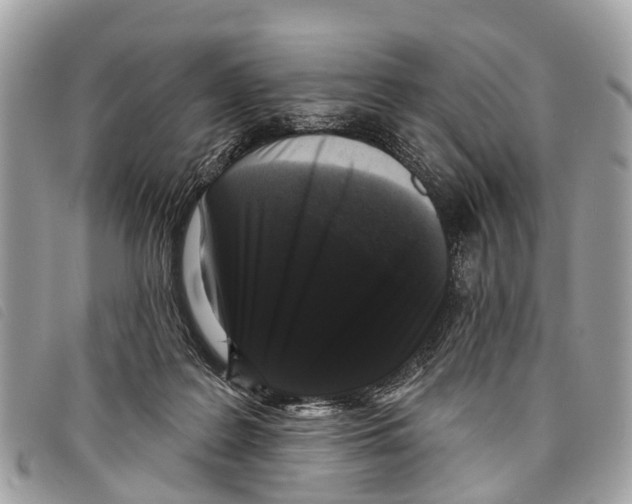 X0000097850219200804111136