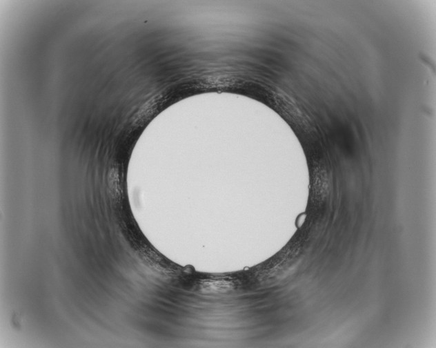 X0000097850220200804111136