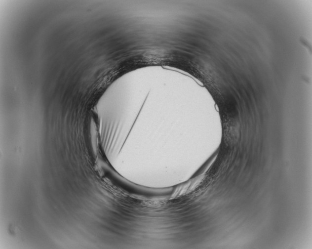 X0000097850221200804111136