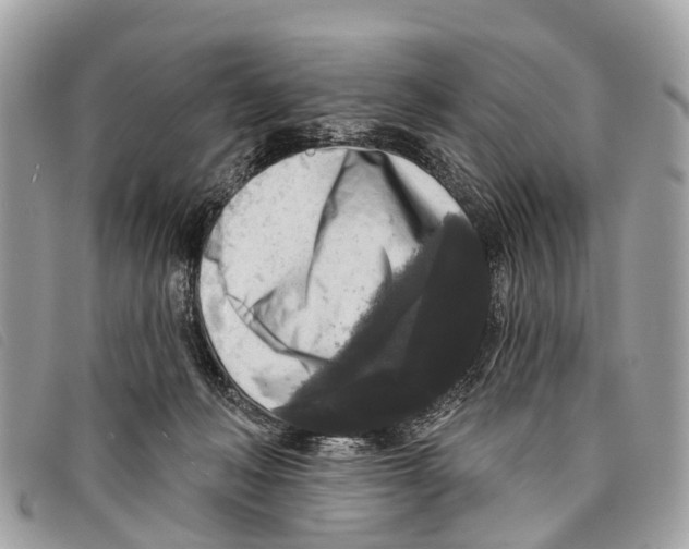 X0000097850222200804111136