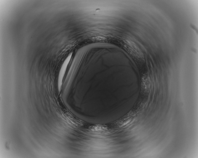 X0000097850223200804111136