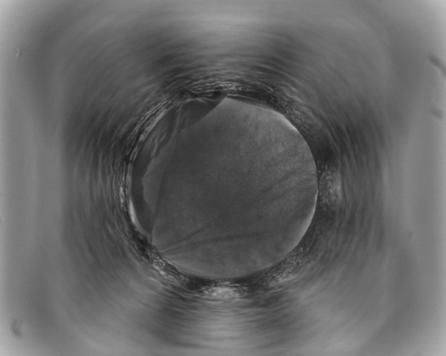 X0000097850224200804111136