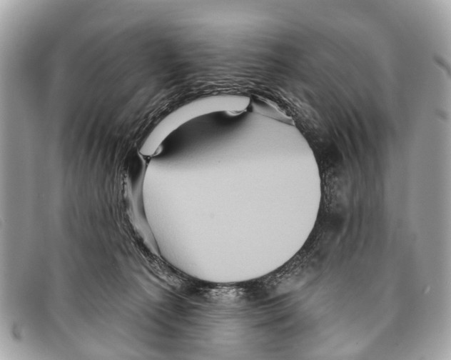 X0000097850225200804111136