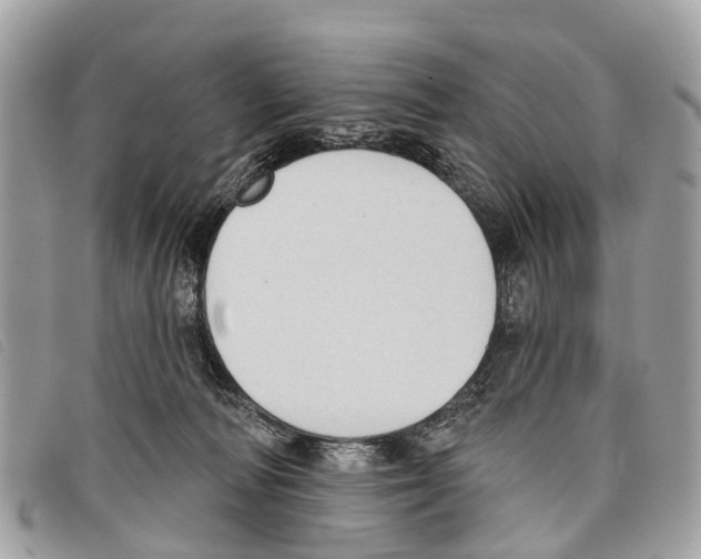 X0000097850226200804111136