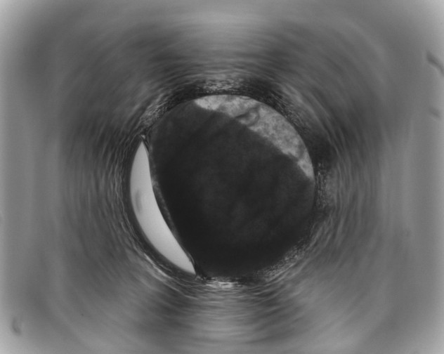 X0000097850227200804111136