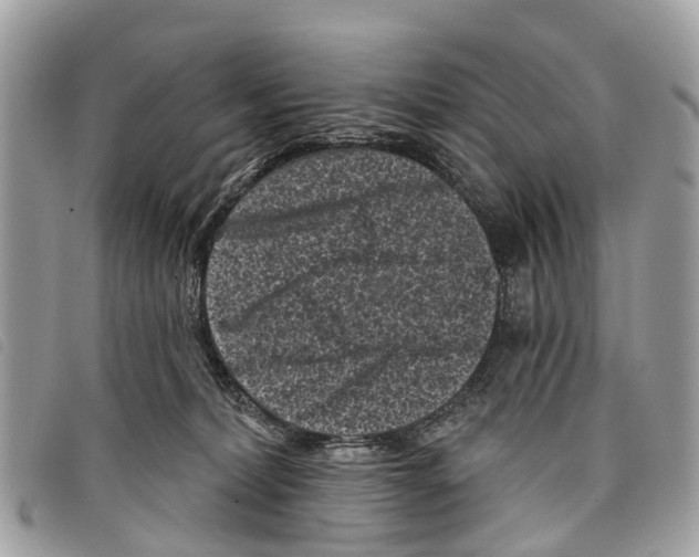 X0000097850228200804111136