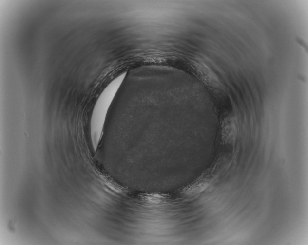 X0000097850229200804111136