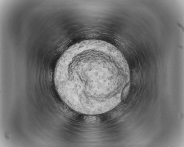 X0000097850230200804111135